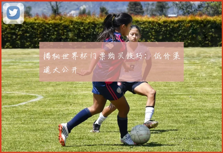 揭秘世界杯门票购买技巧：低价渠道大公开