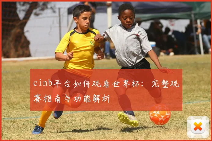 cinb平台如何观看世界杯：完整观赛指南与功能解析
