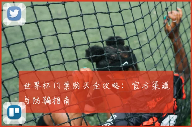世界杯门票购买全攻略:官方渠道与防骗指南