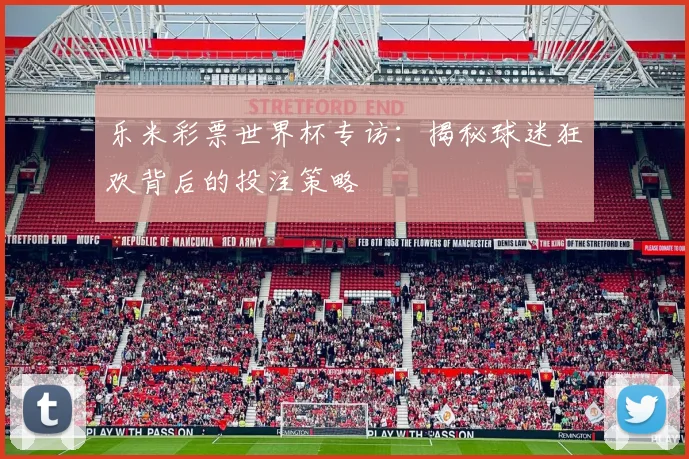 乐米彩票世界杯专访：揭秘球迷狂欢背后的投注策略