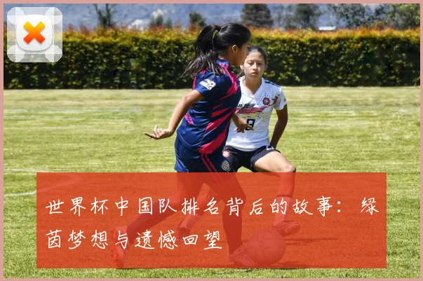 世界杯中国队排名背后的故事:绿茵梦想与遗憾回望