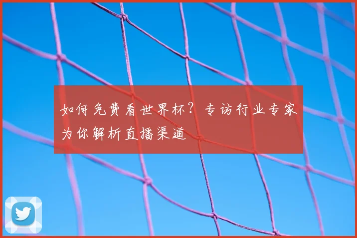 如何免费看世界杯？专访行业专家为你解析直播渠道