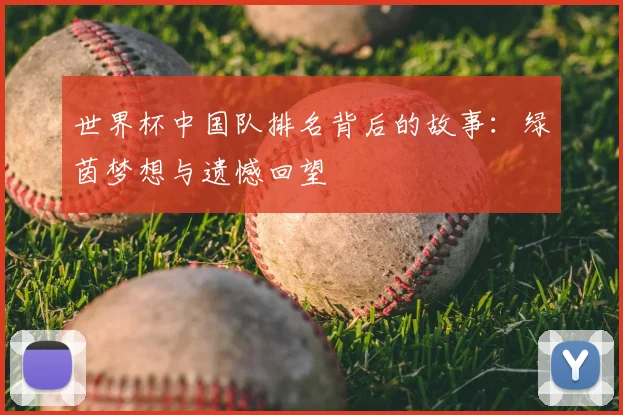 世界杯中国队排名背后的故事:绿茵梦想与遗憾回望