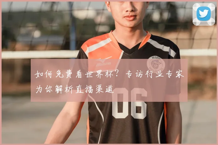 如何免费看世界杯？专访行业专家为你解析直播渠道