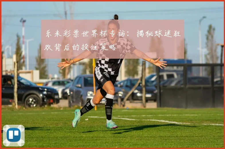 乐米彩票世界杯专访：揭秘球迷狂欢背后的投注策略