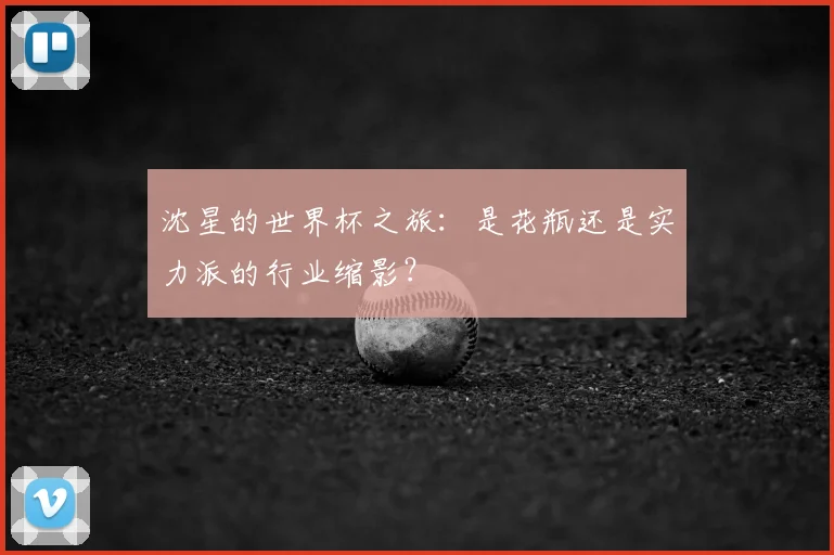 沈星的世界杯之旅：是花瓶还是实力派的行业缩影？
