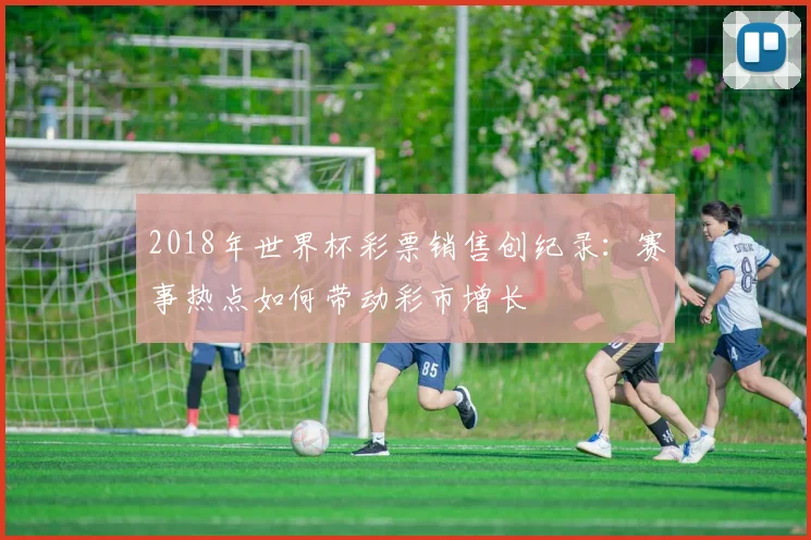 2018年世界杯彩票销售创纪录：赛事热点如何带动彩市增长