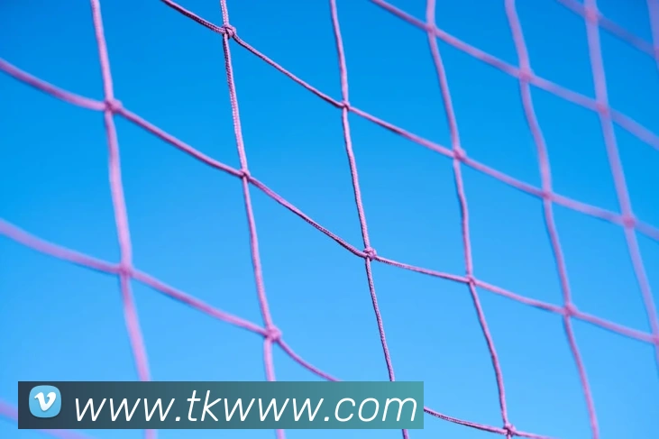 2018年世界杯彩票销售创纪录：赛事热点如何带动彩市增长